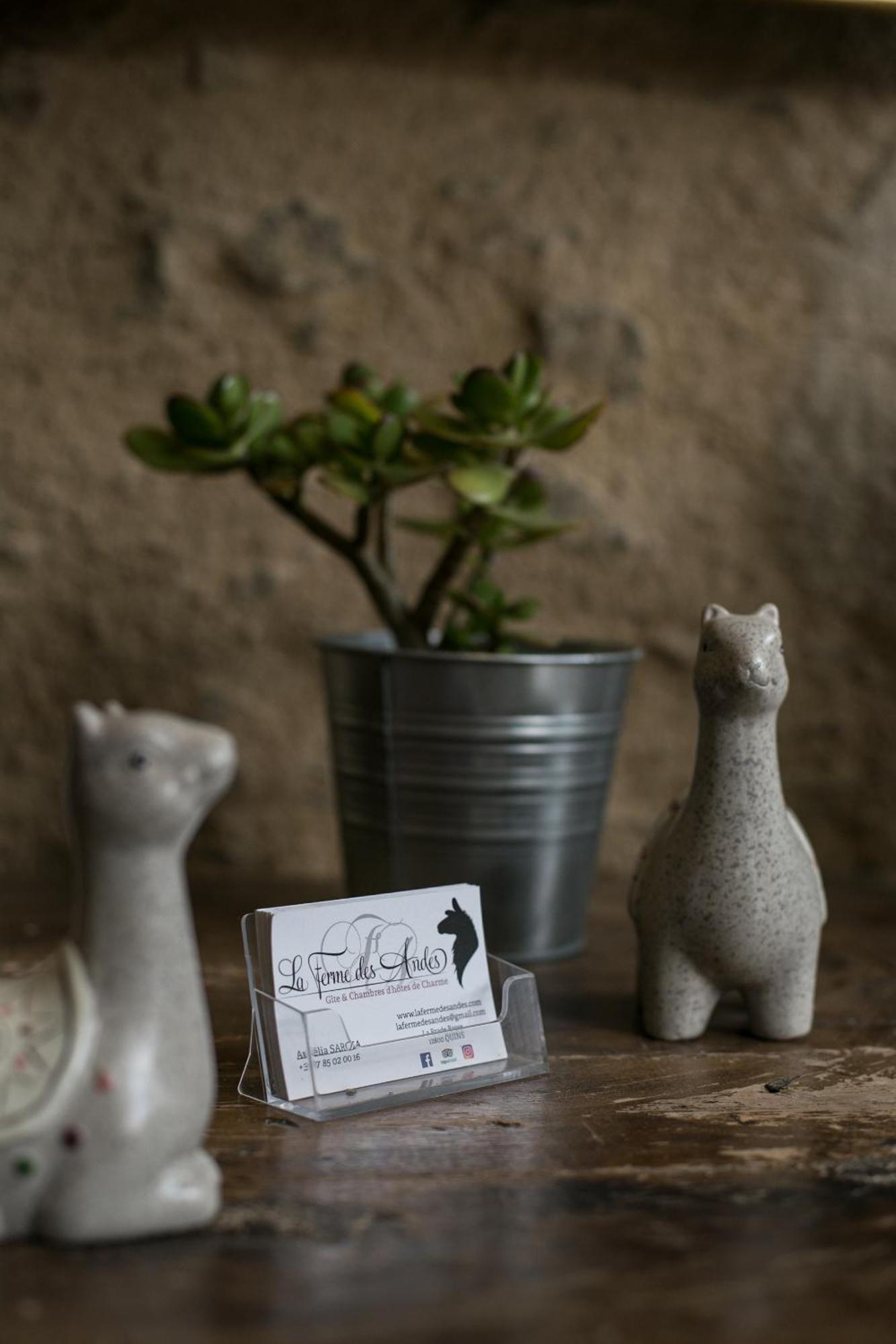 La Ferme Des Andes - Gite L'Atelier Quins ภายนอก รูปภาพ