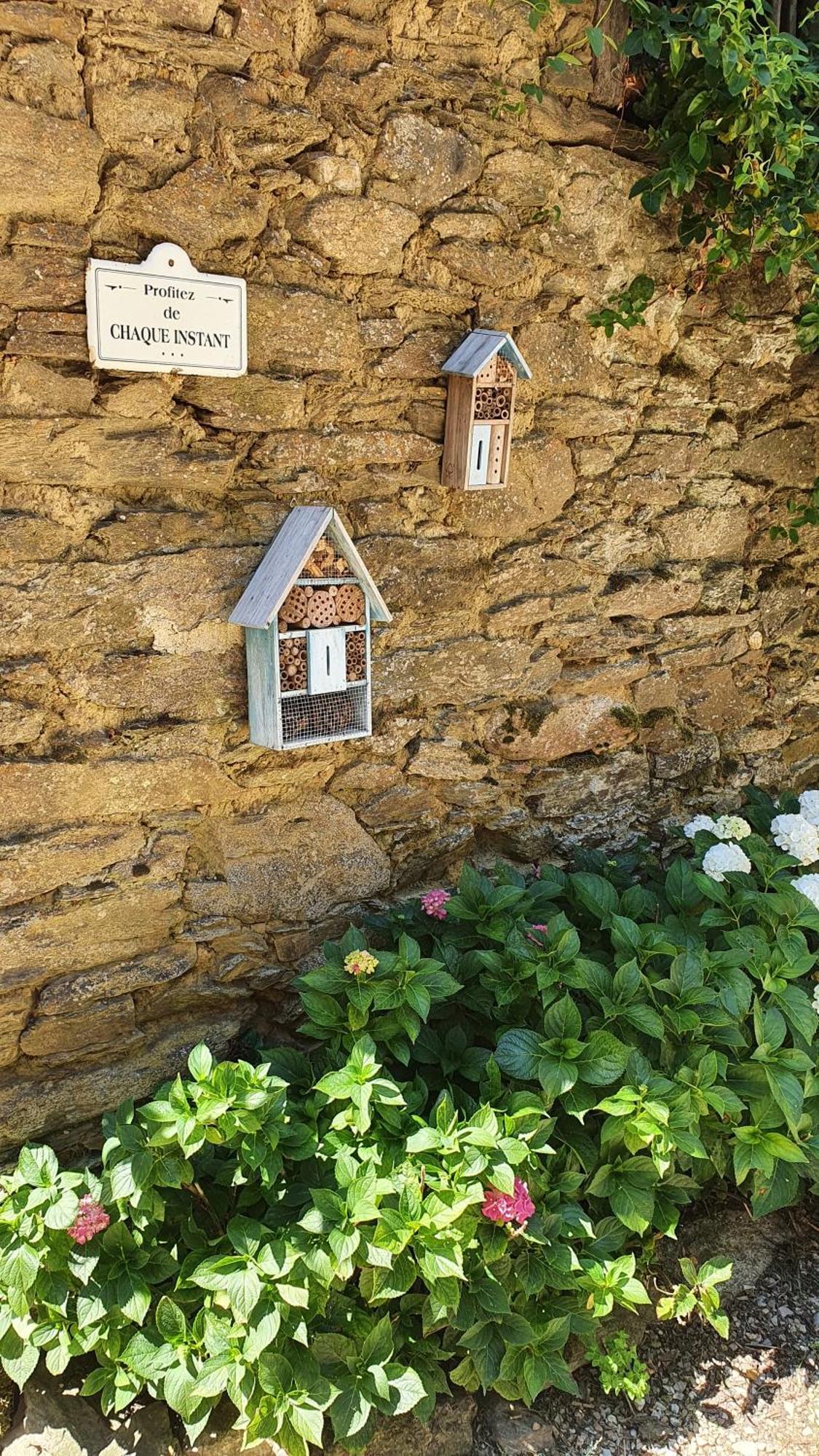 La Ferme Des Andes - Gite L'Atelier Quins ภายนอก รูปภาพ