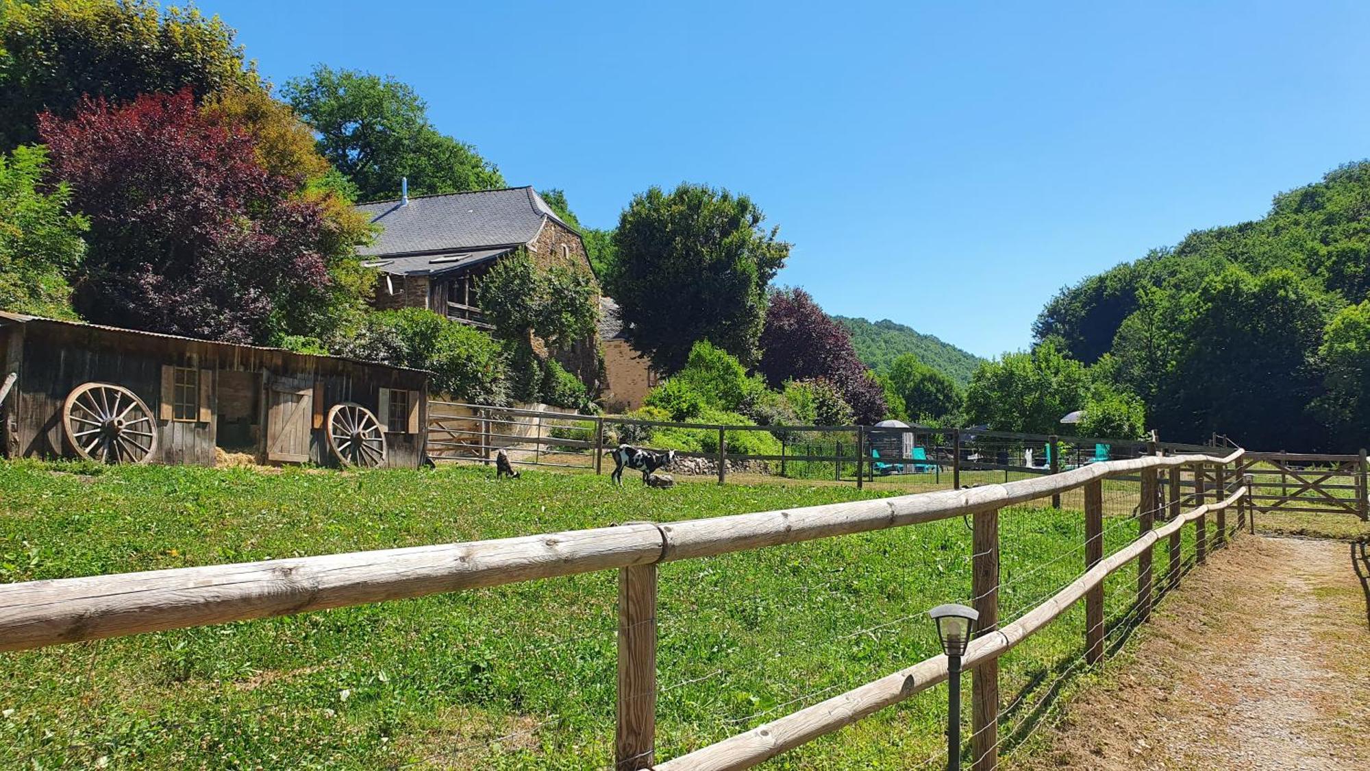 La Ferme Des Andes - Gite L'Atelier Quins ภายนอก รูปภาพ