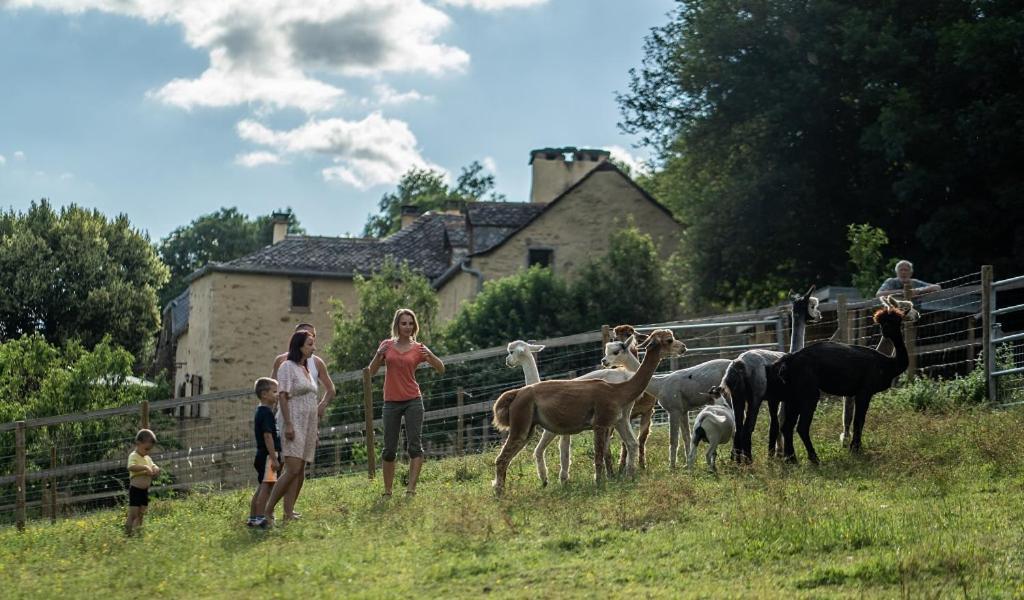 La Ferme Des Andes - Gite L'Atelier Quins ภายนอก รูปภาพ
