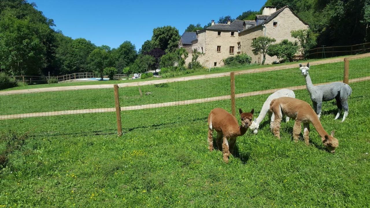 La Ferme Des Andes - Gite L'Atelier Quins ภายนอก รูปภาพ