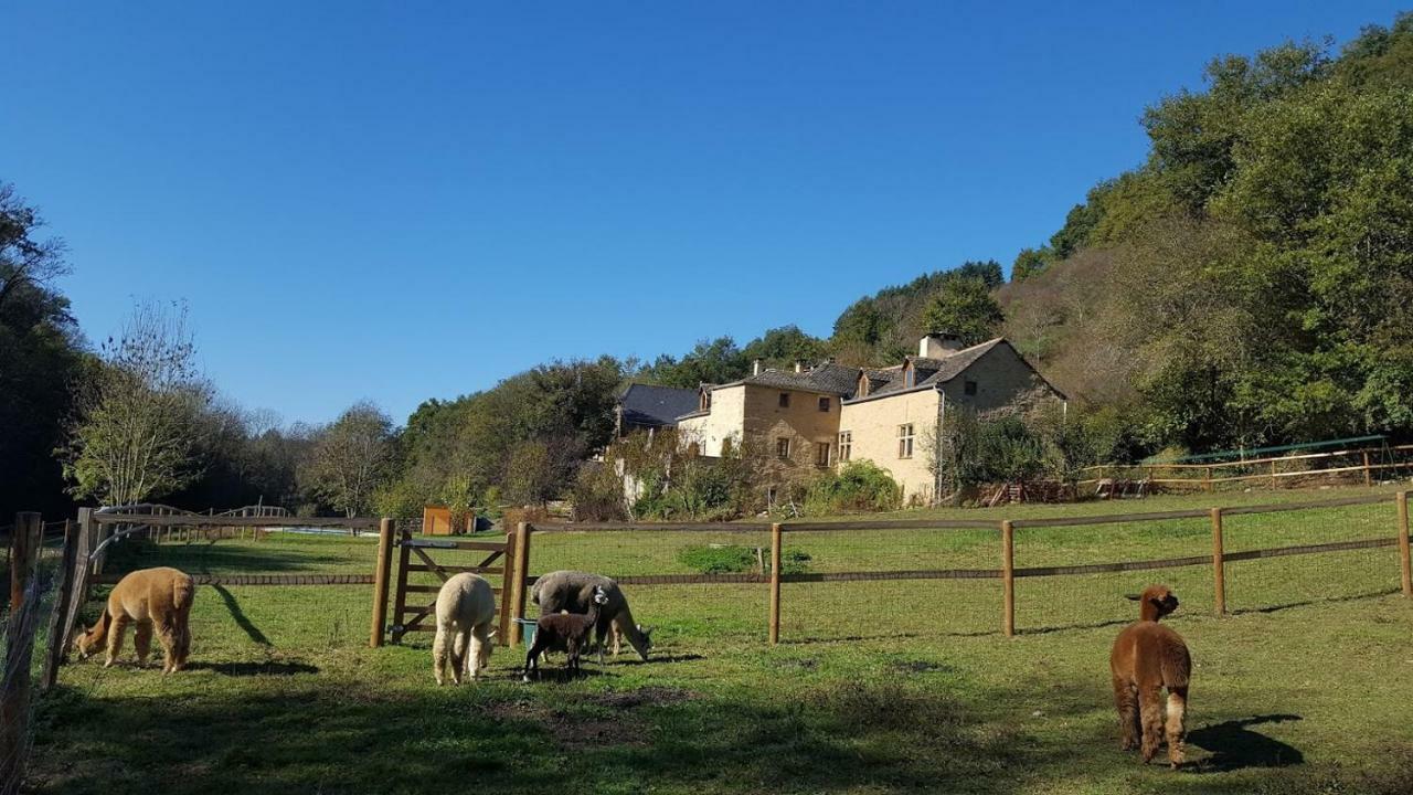 La Ferme Des Andes - Gite L'Atelier Quins ภายนอก รูปภาพ